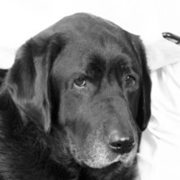 Jax Kneppers